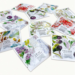 pochettes parfumees 20 pz