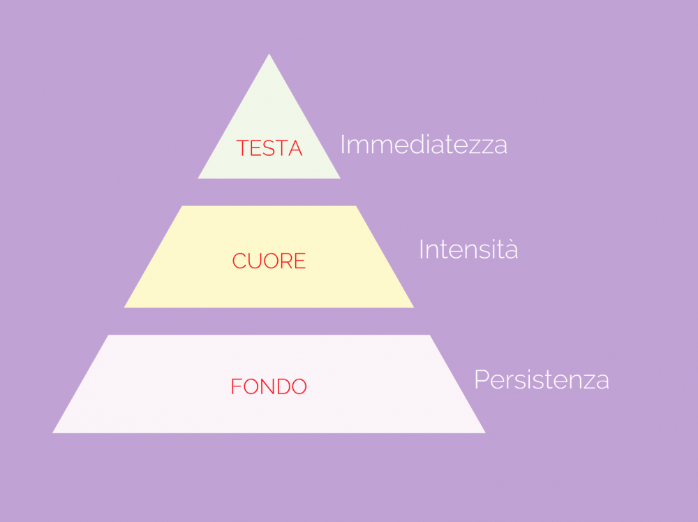 Piramide olfattiva