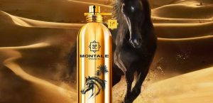 Montale Arabians
