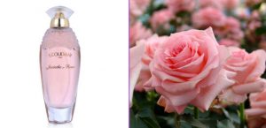 jacinthe rose coudray