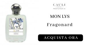 Mon Lys Fragonard